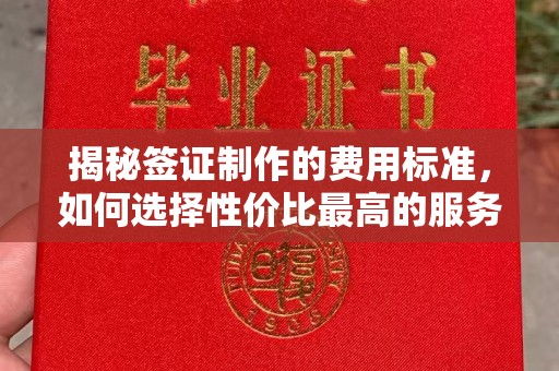 孟津揭秘签证制作的费用标准，如何选择性价比最高的服务？